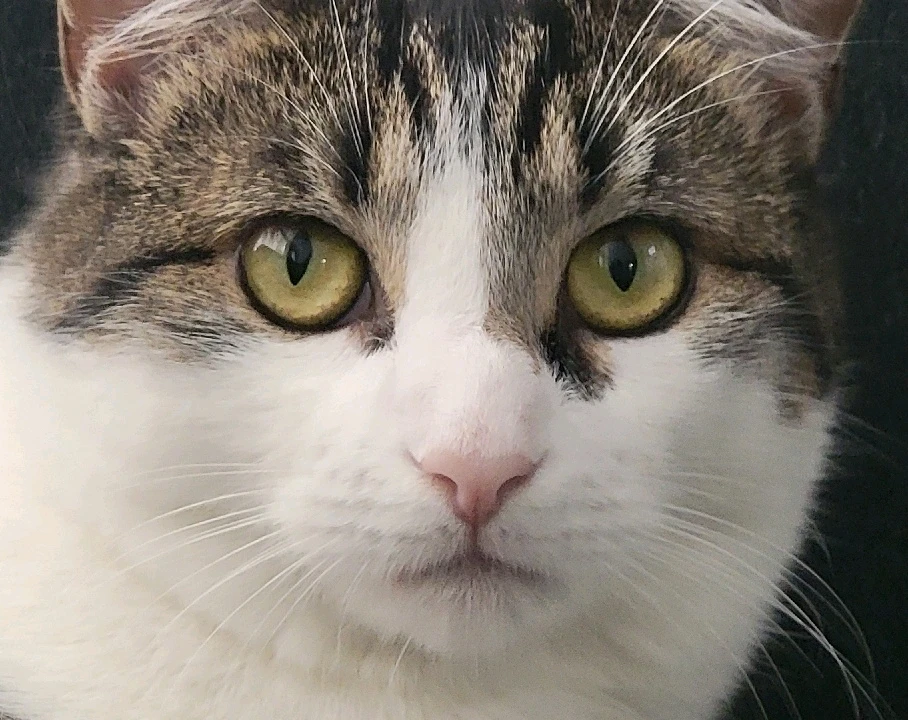 GIF ajouté par Alexandra