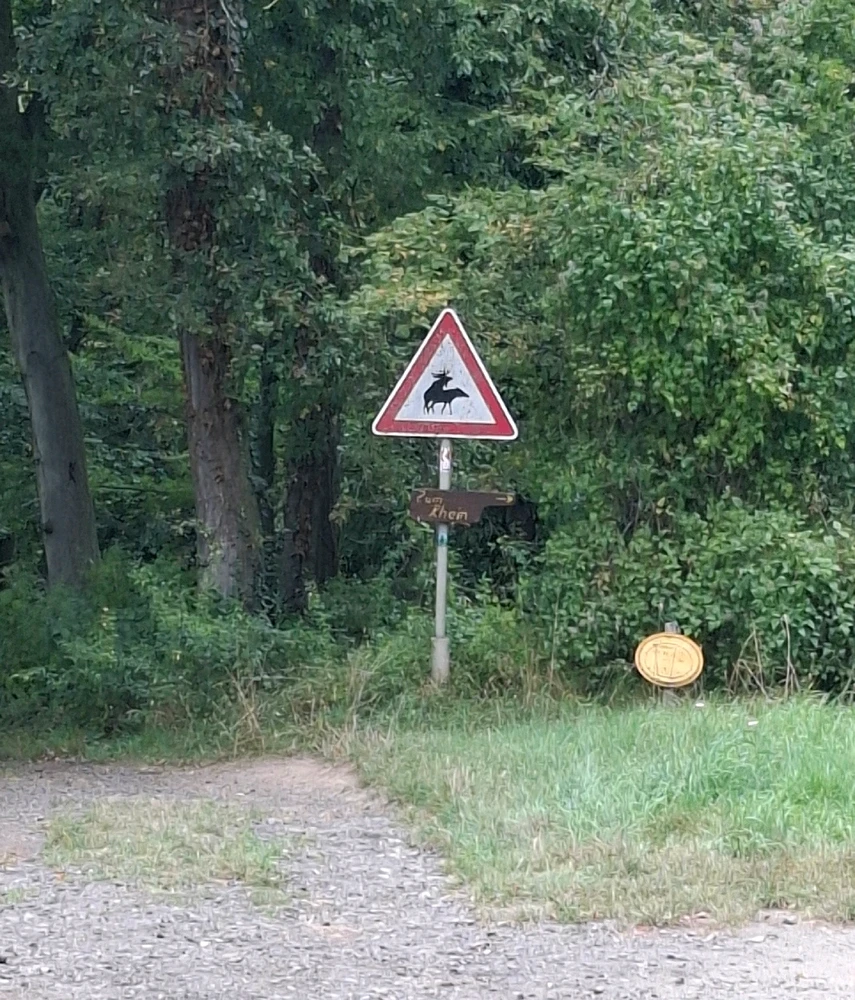 GIF hochgeladen von Theresa