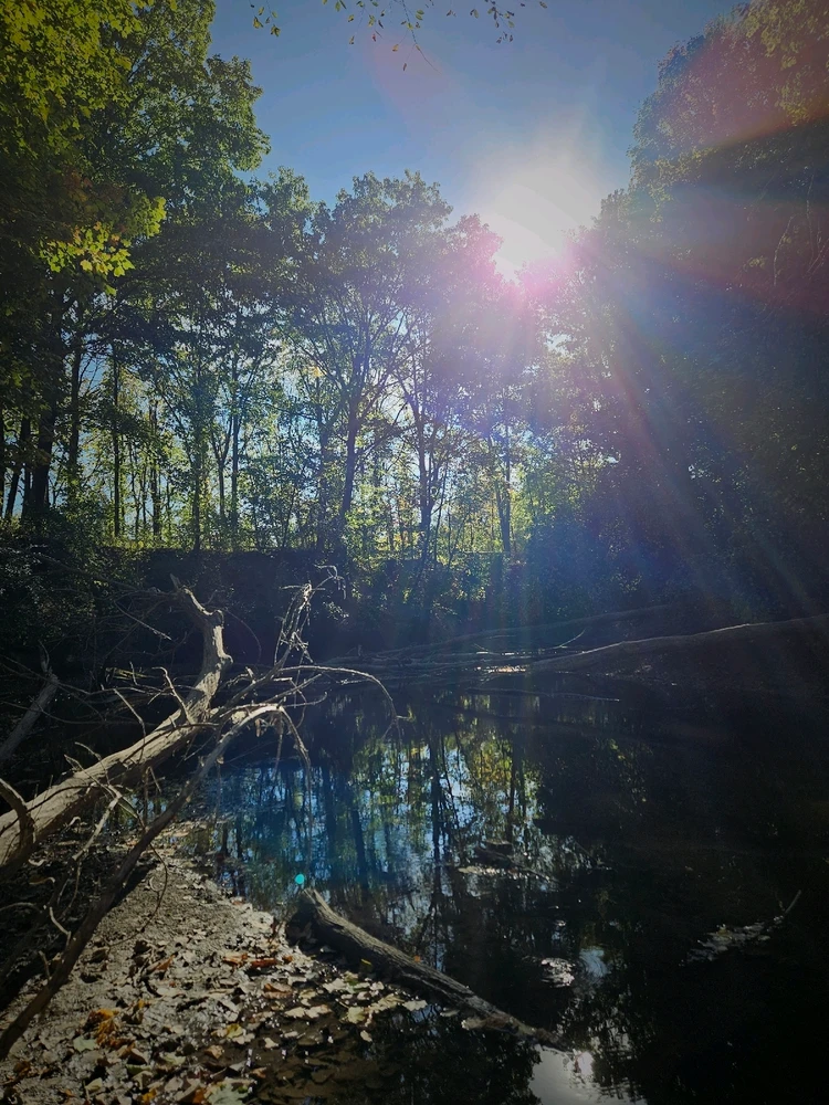 Image uploaded by Travis