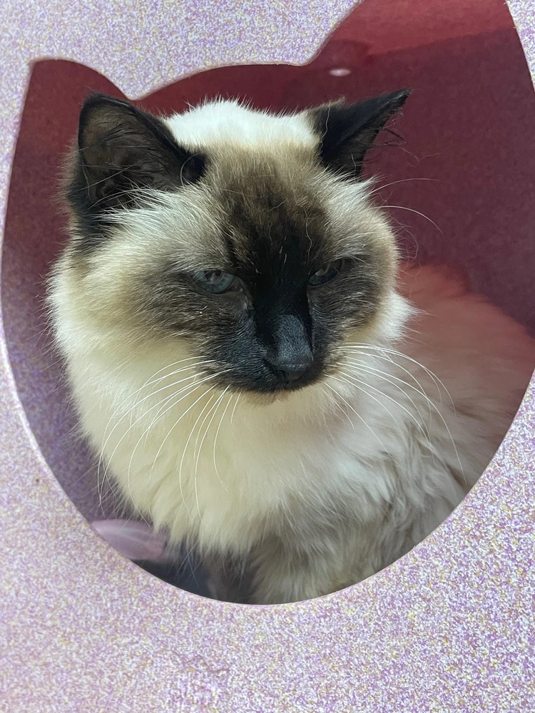 GIF uploaded by Robbie