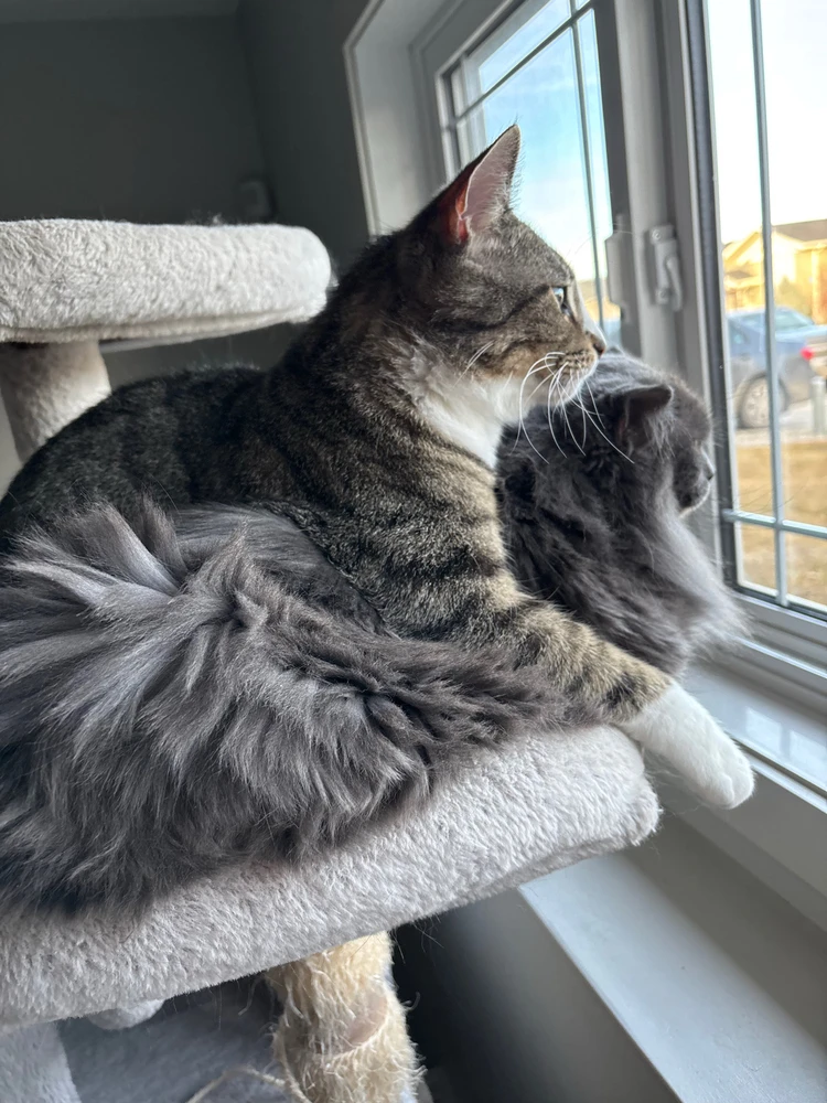 GIF uploaded by Jayden