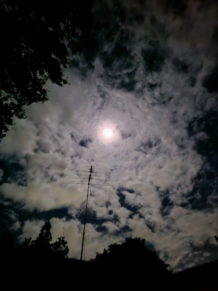 GIF uploaded by Amber