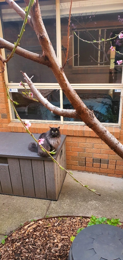 GIF uploaded by Leroy