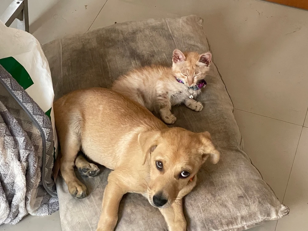 Bild hochgeladen von Wald