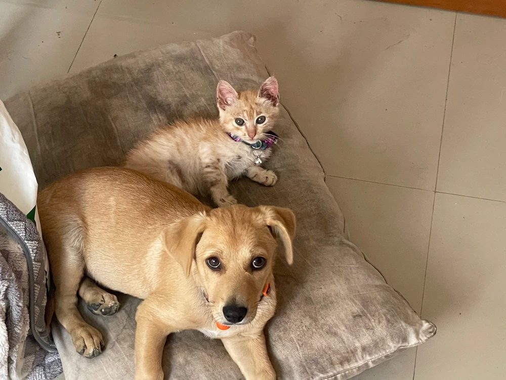 Bild hochgeladen von Wald