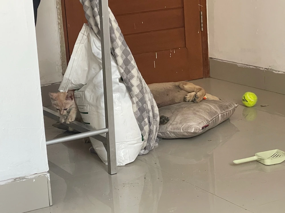 Bild hochgeladen von Wald