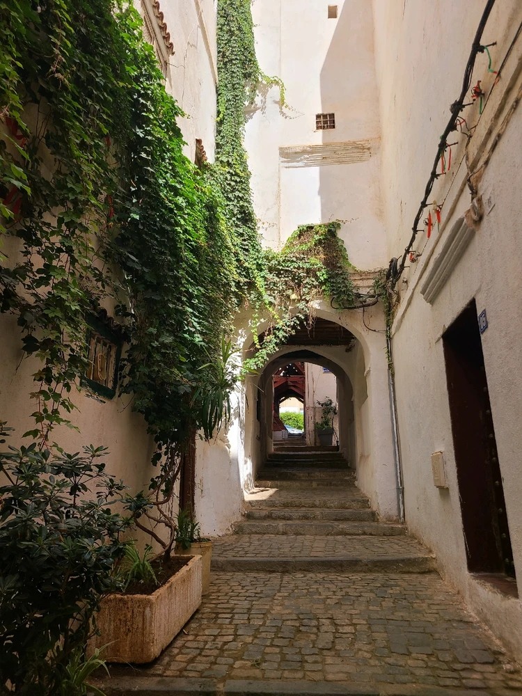 Image ajoutée par RM