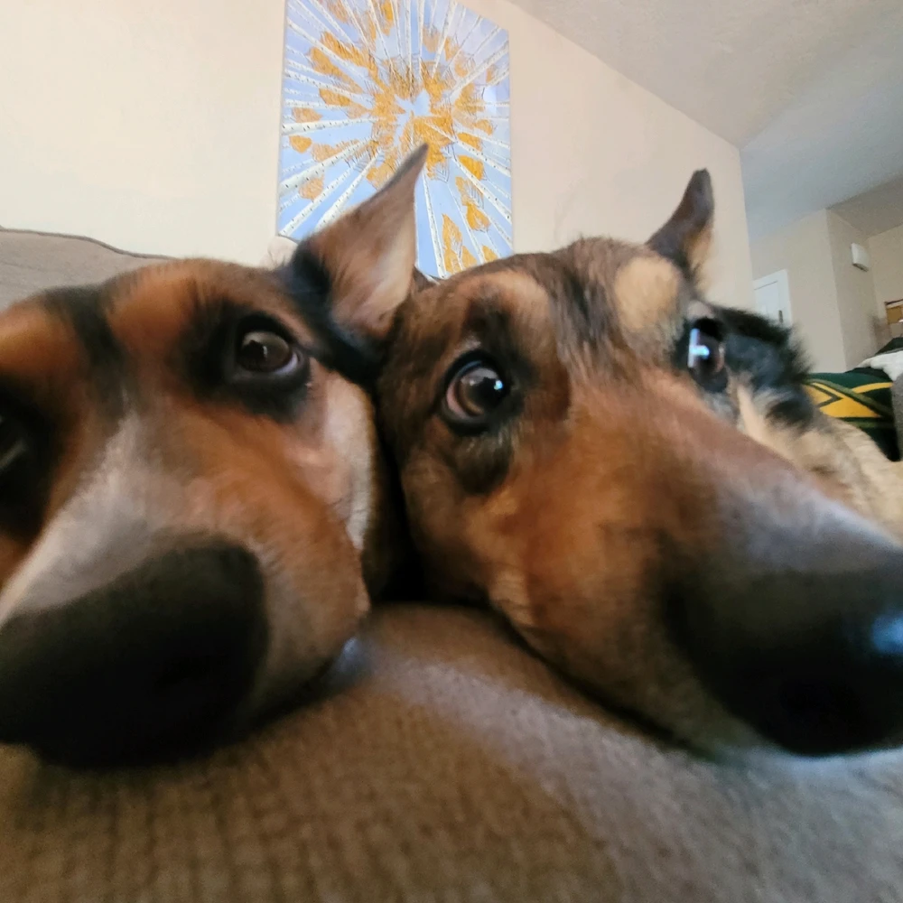 Image uploaded by Zakk