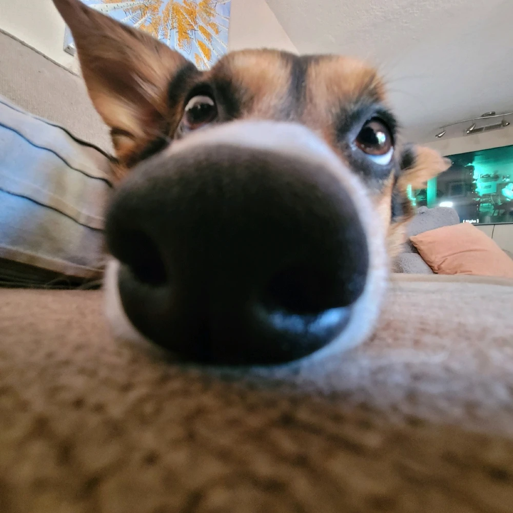 Image uploaded by Zakk