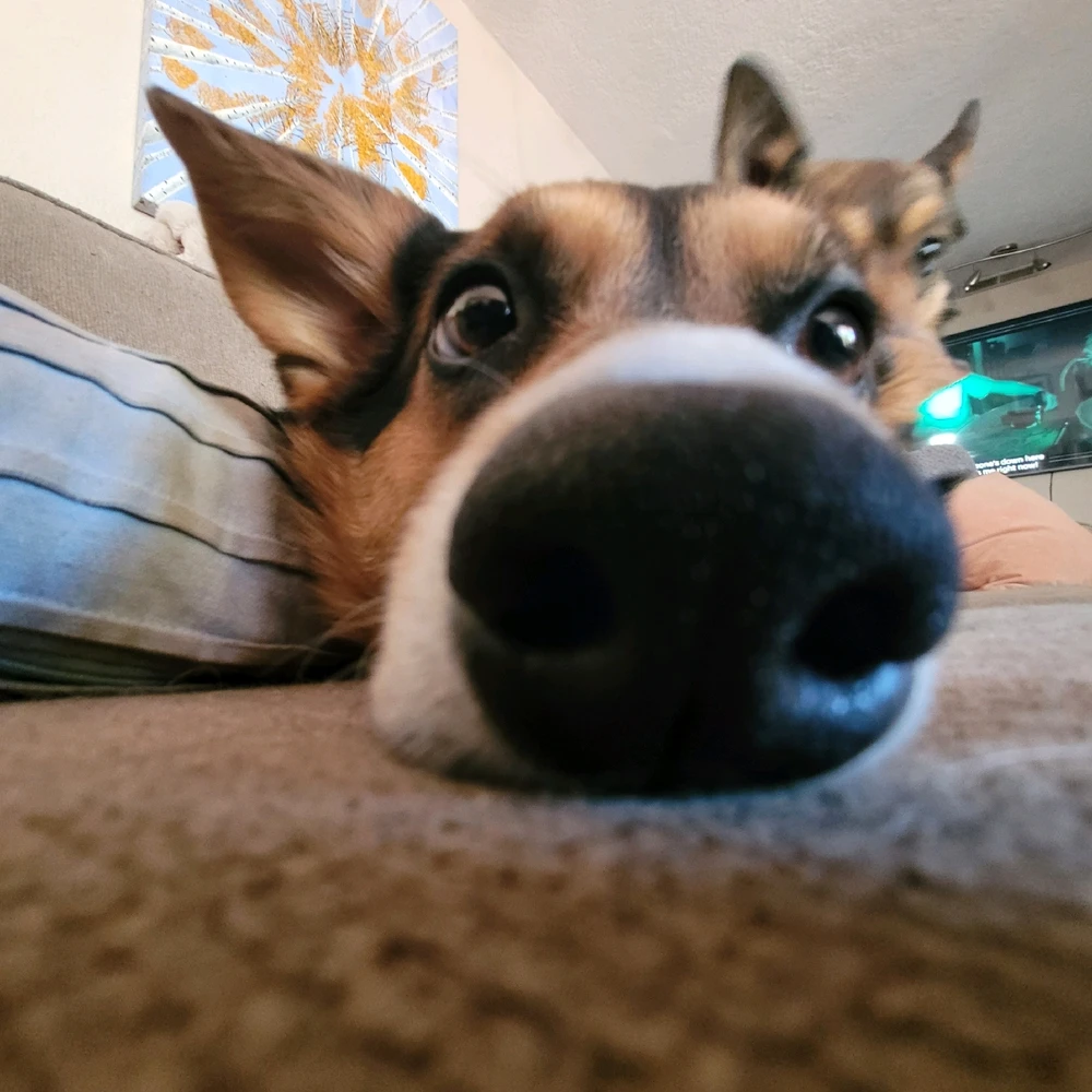 Image uploaded by Zakk