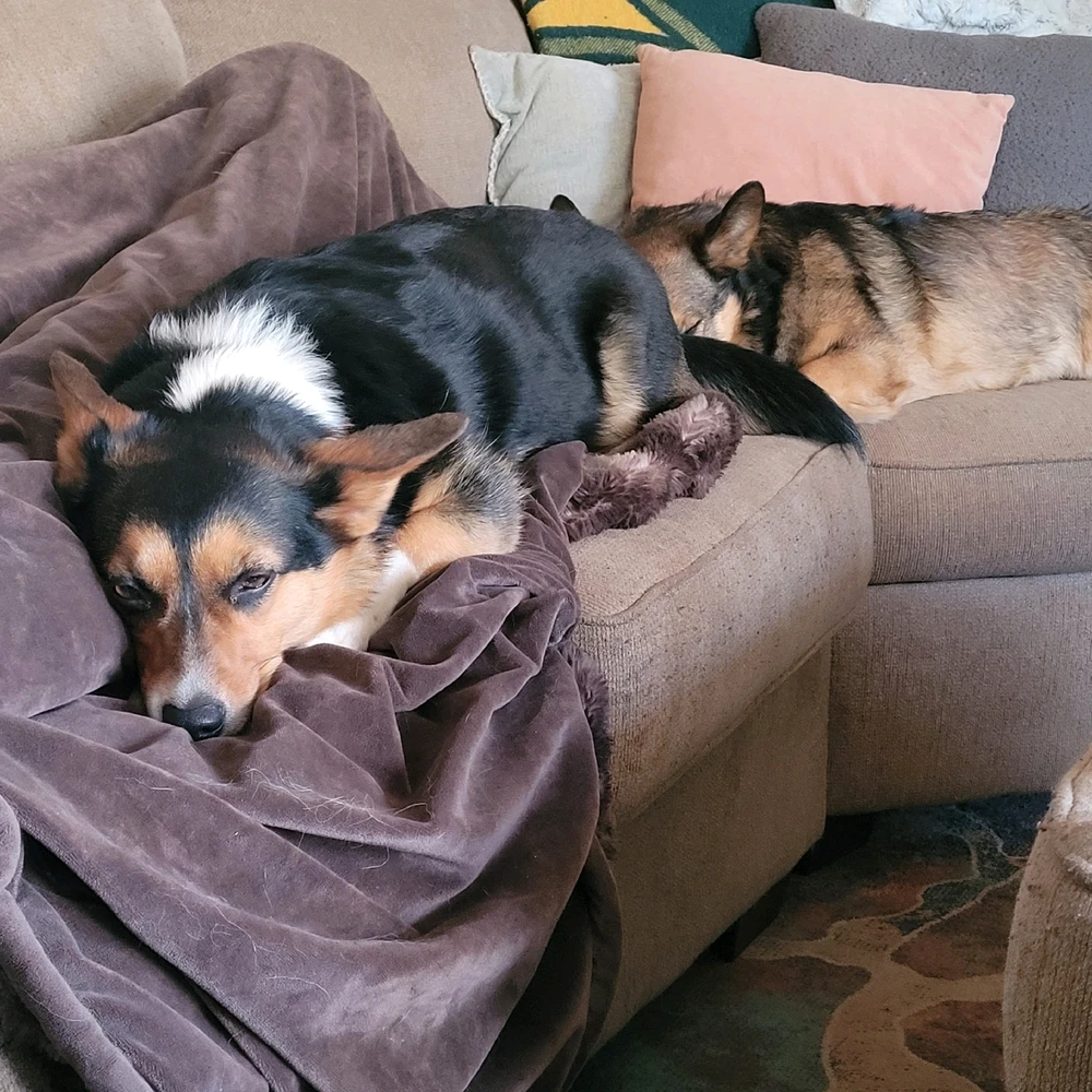 Image uploaded by Zakk