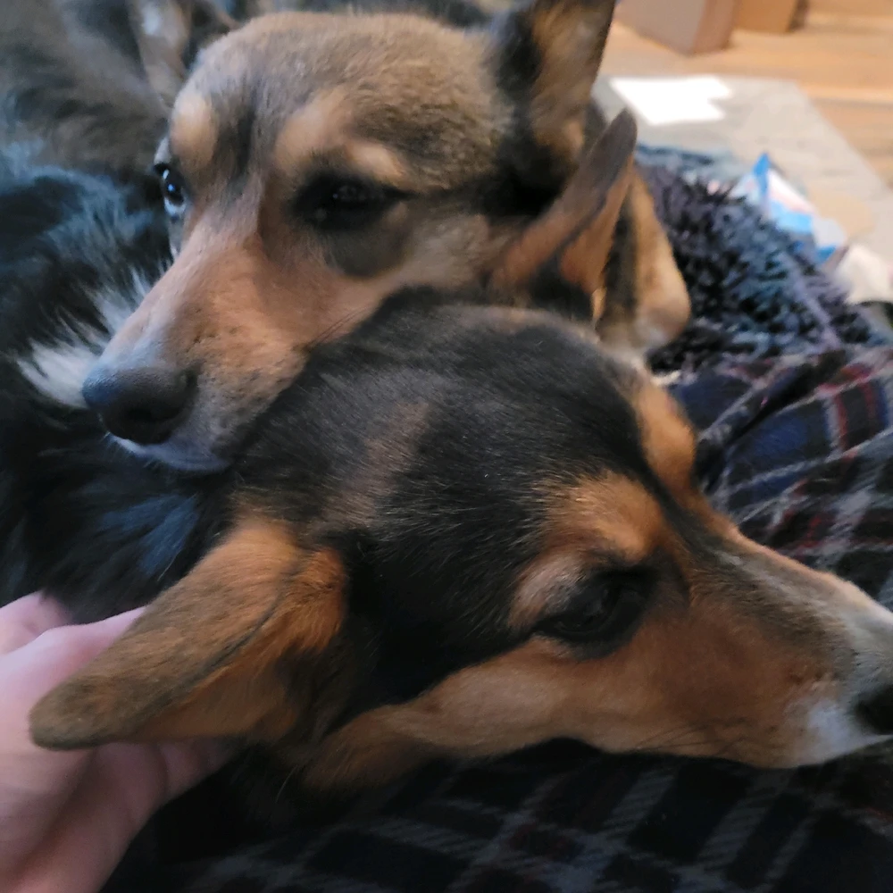 Image uploaded by Zakk