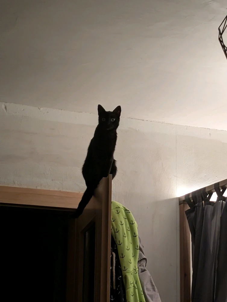 GIF hochgeladen von Kathi