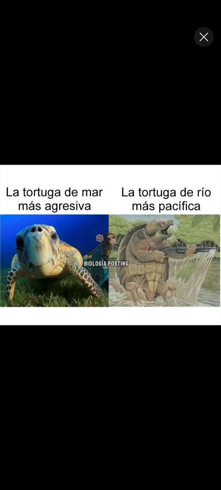 GIF uploaded by Moki