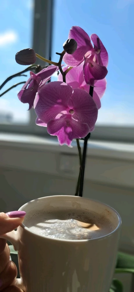 GIF dodany przez Stella