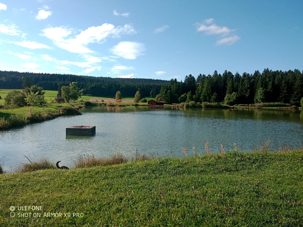 Image ajoutée par Virgil