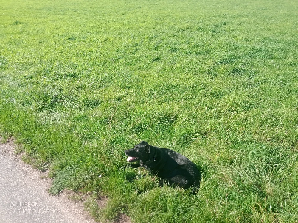 Image ajoutée par Virgil