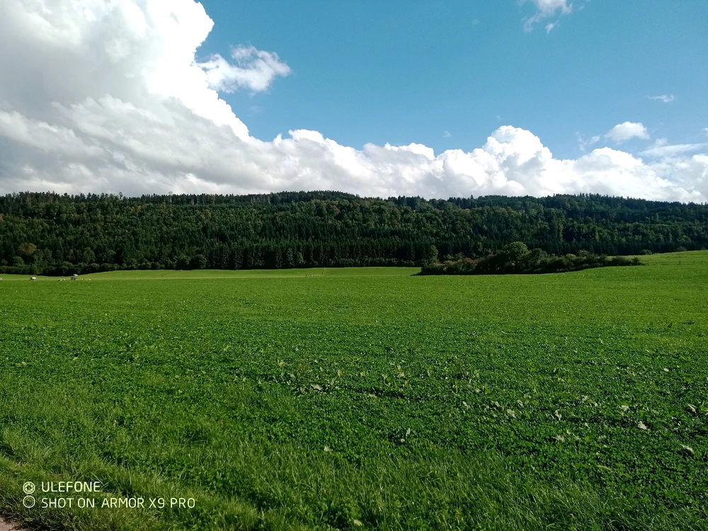 Image ajoutée par Virgil