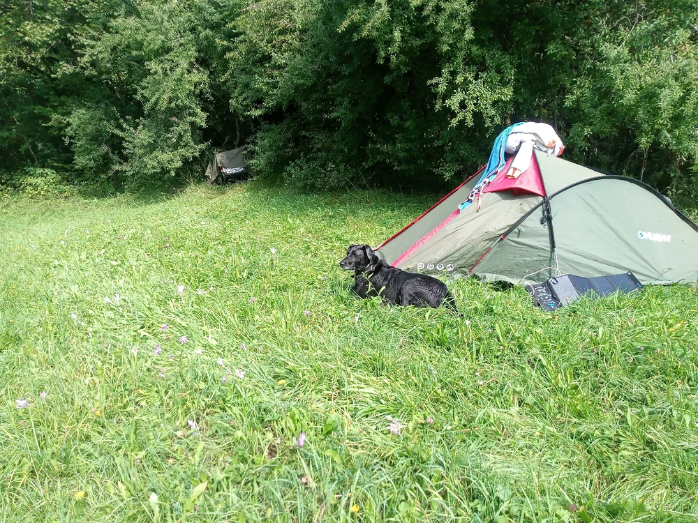 Image ajoutée par Virgil