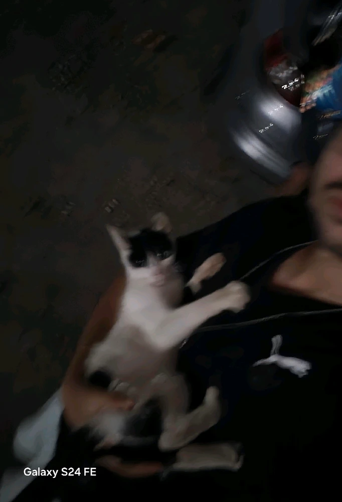 GIF na in-upload ni Costi