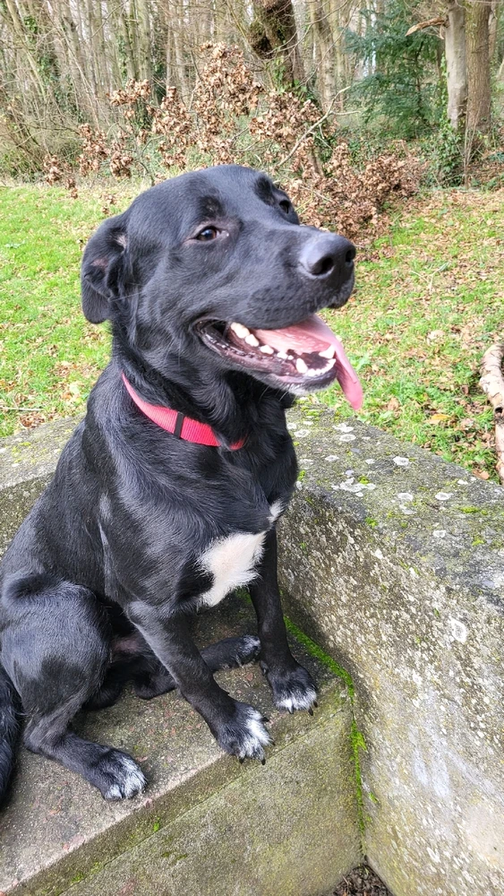 Image ajoutée par Sébastien