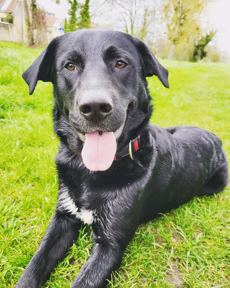 Image ajoutée par Sébastien