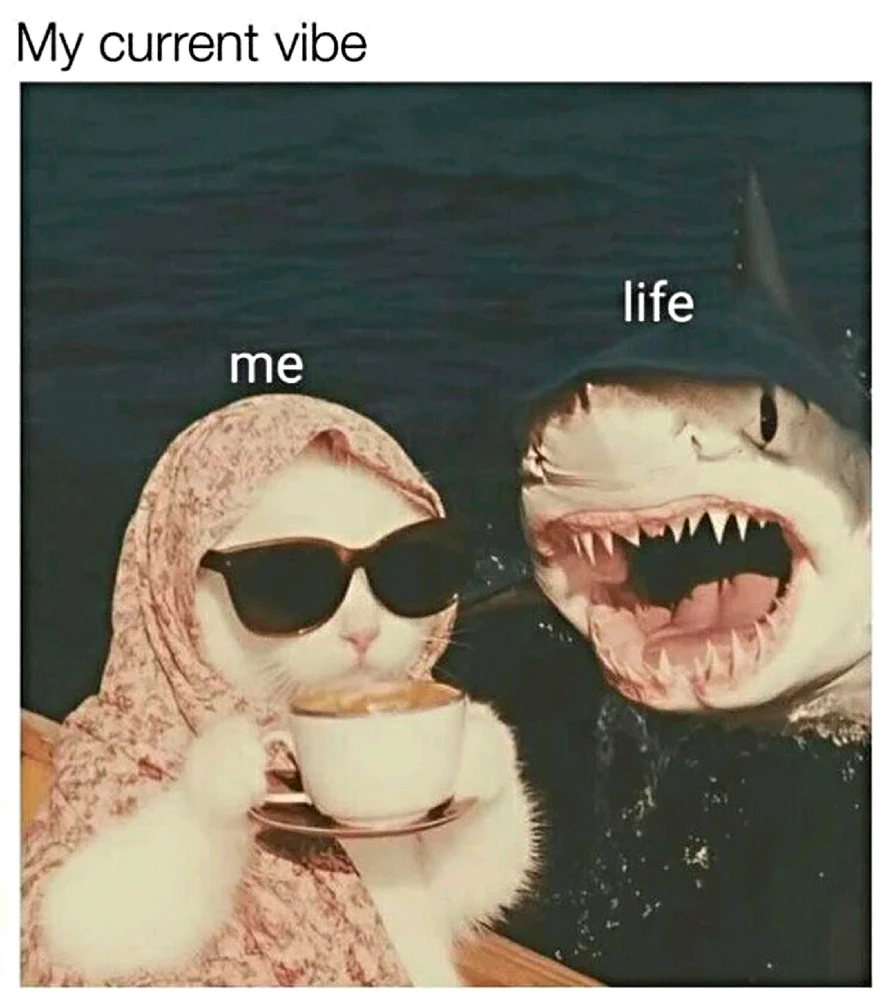 Es qüestió d’actitud