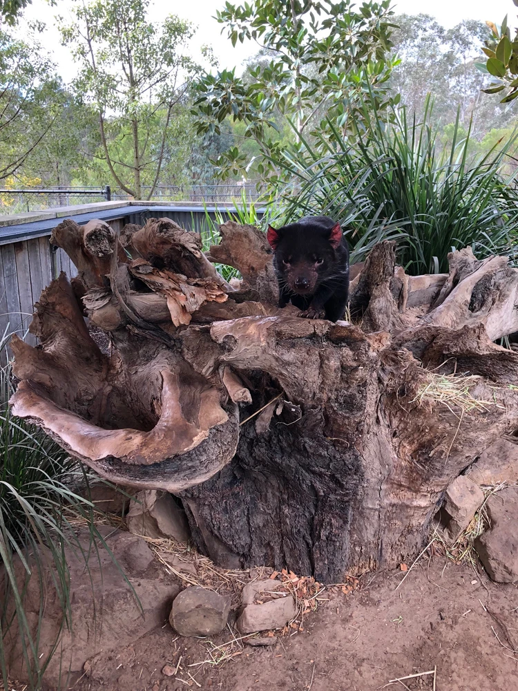 GIF uploaded by Erik