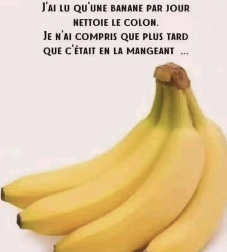 Image ajoutée par Matthieu