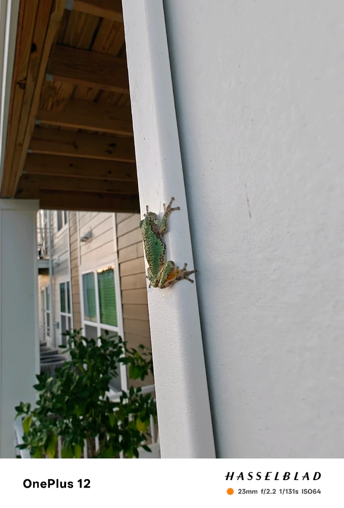 GIF uploaded by Dan