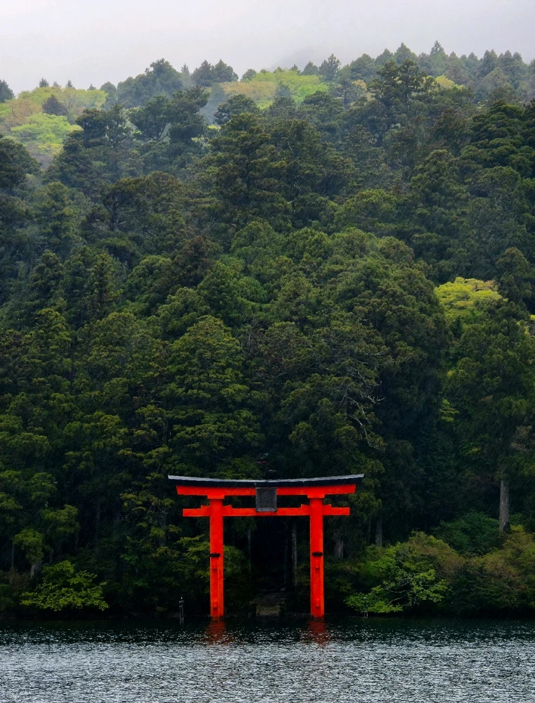 Fotku nahral/-a Tomáš