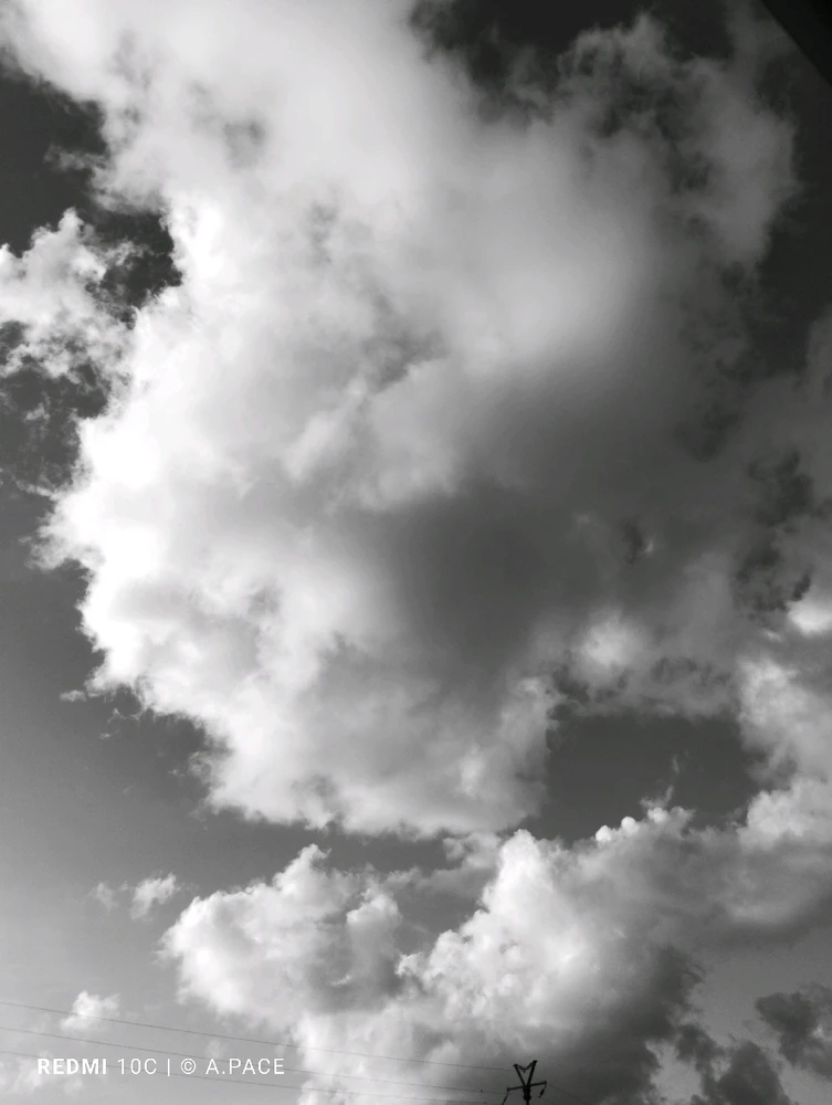 Immagine caricata da Alessandro | alpacigno