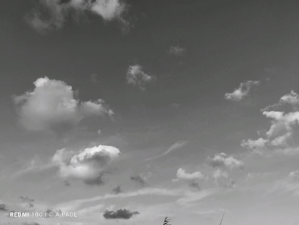 Immagine caricata da Alessandro | alpacigno