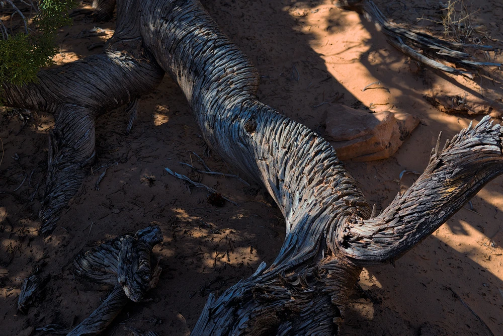 Image uploaded by Gavin