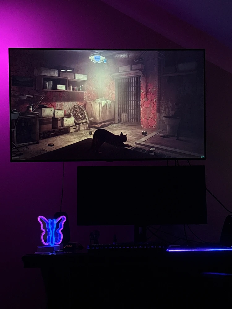 GIF dodany przez Paweł