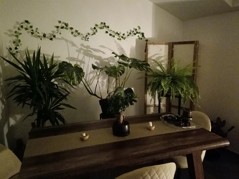 Repos + lecture du soir 📖🌃