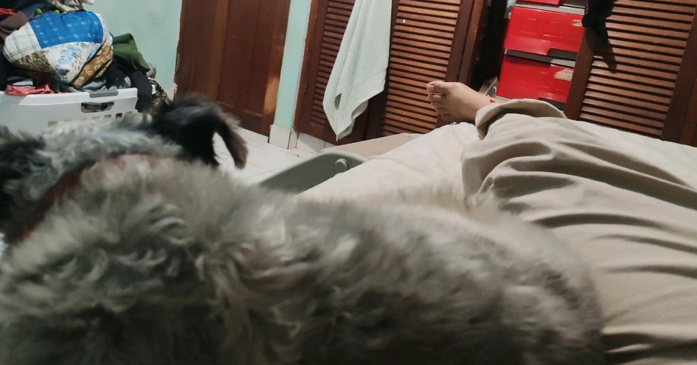 Alguien con quien hablar ando aburrida hoy