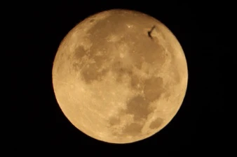 GIF caricata da Hafez