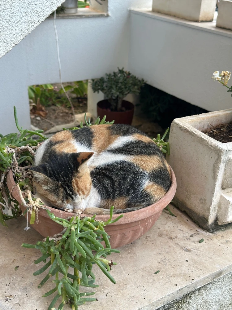 Bekir tarafından yüklenen GIF