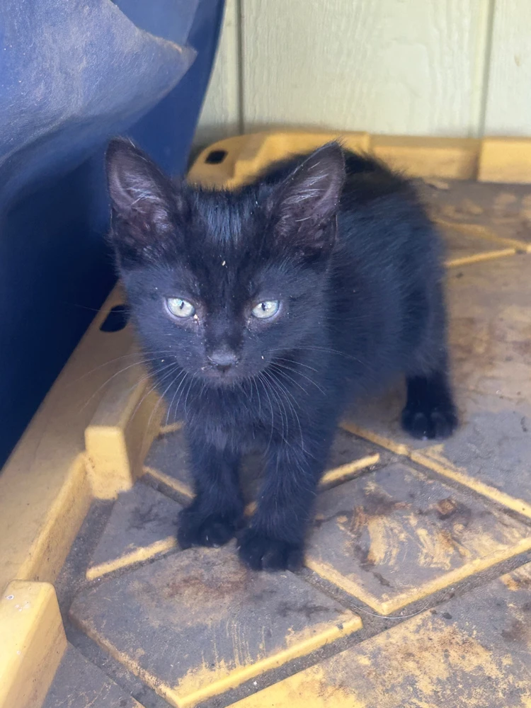 GIF uploaded by Colby