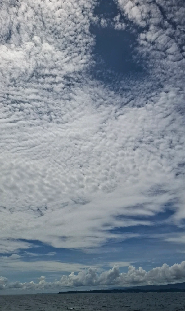 GIF uploaded by kris