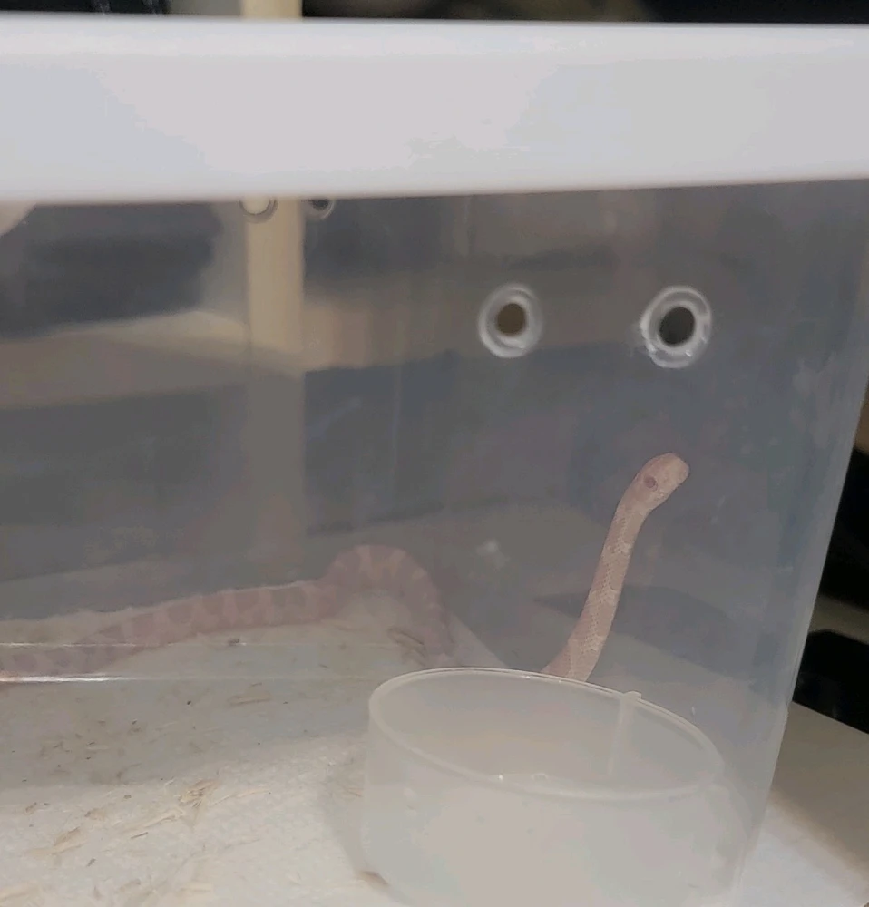 GIF uploaded by Daniela