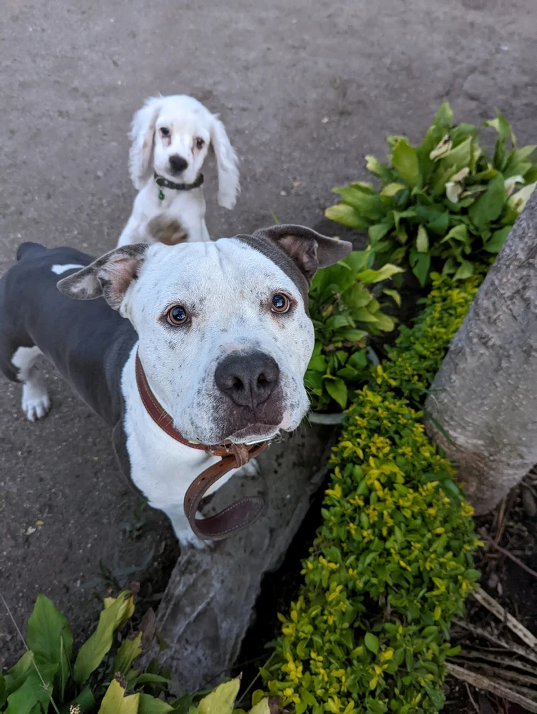 GIF subido por Esteban Emmanuel