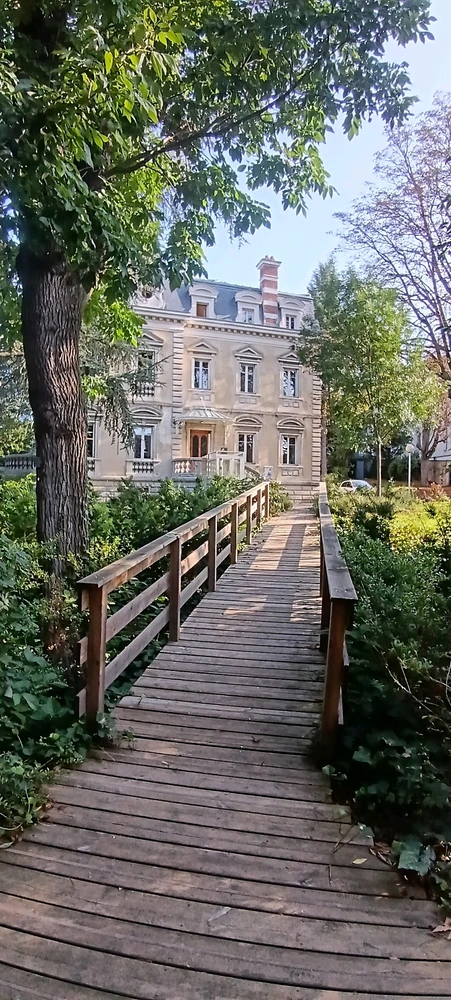 Image ajoutée par Saffiya