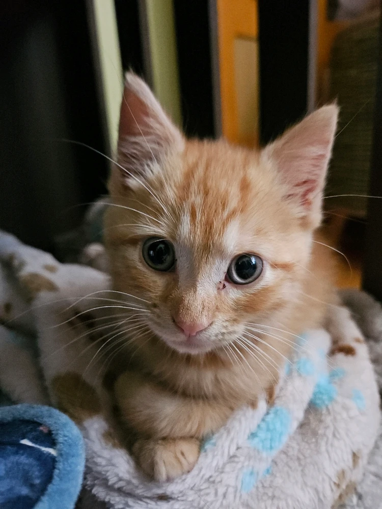 GIF uploaded by Jess