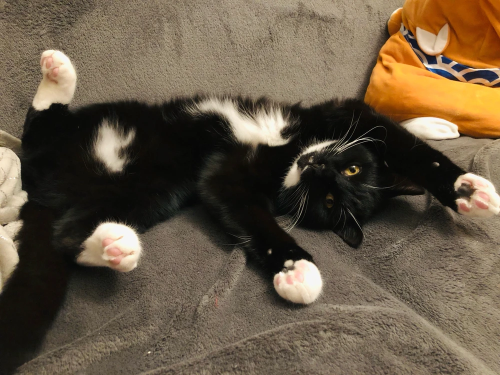 GIF uploaded by Alex