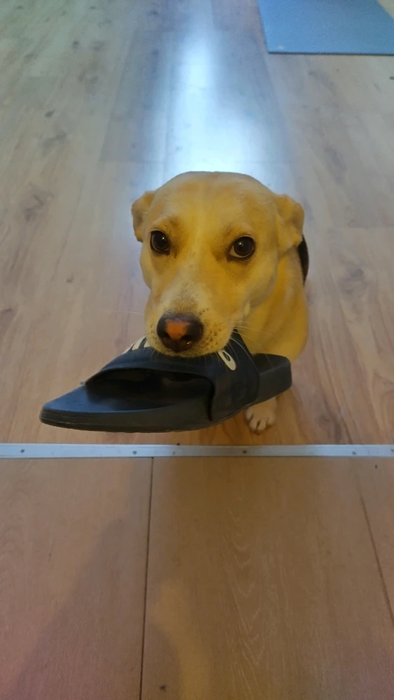 Czas zacząć weekend :)