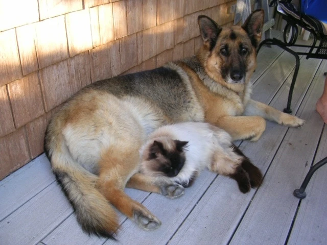 Image uploaded by Robbie