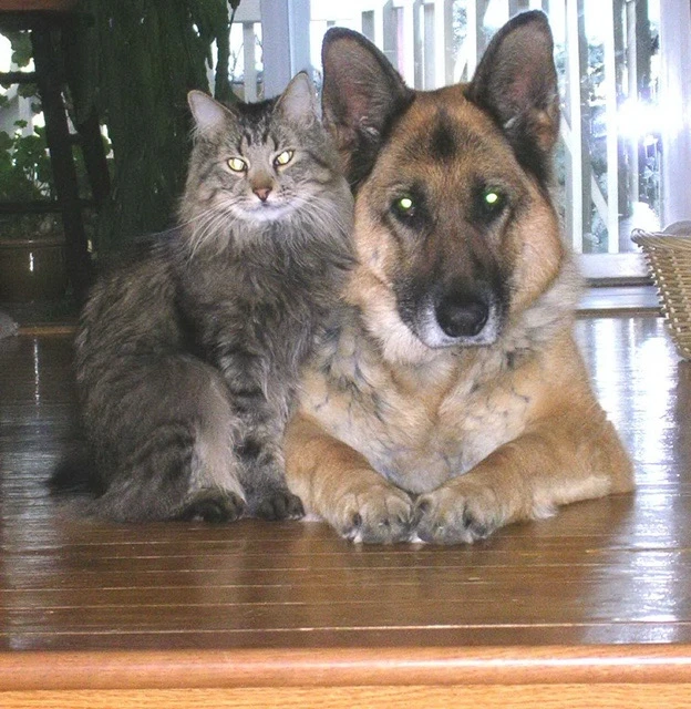 Image uploaded by Robbie