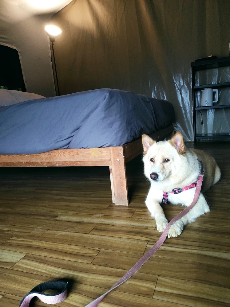 GIF diunggah dening J